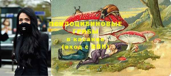 гидропоника Артём