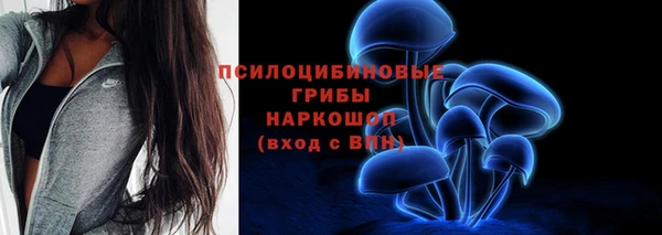 марки nbome Бородино