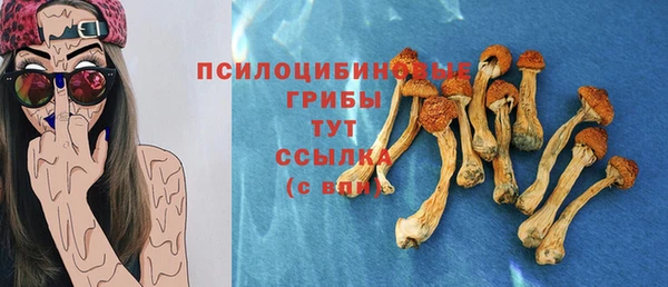 дживик Медногорск