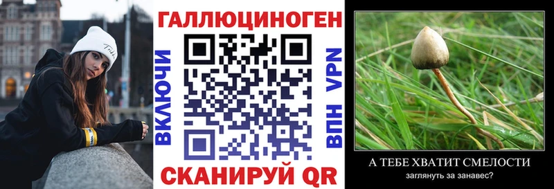цены Вихоревка Псилоцибиновые грибы Psilocybine cubensis